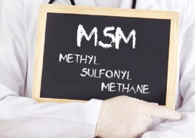 Nutritional Outlook: MSM Sulfur Compound Aids Metabolic Reactions in New Animal Study
