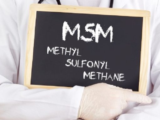 Nutritional Outlook: MSM Sulfur Compound Aids Metabolic Reactions in New Animal Study