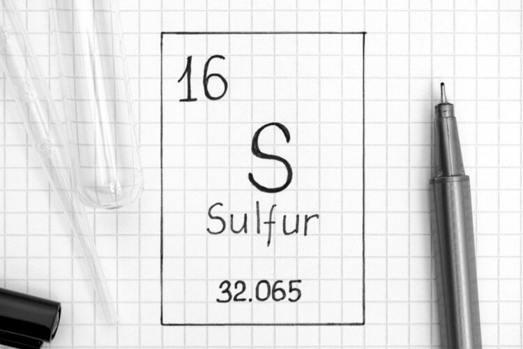 Nutra: ‘An often overlooked major nutrient’: Review highlights importance of sulfur for human health
