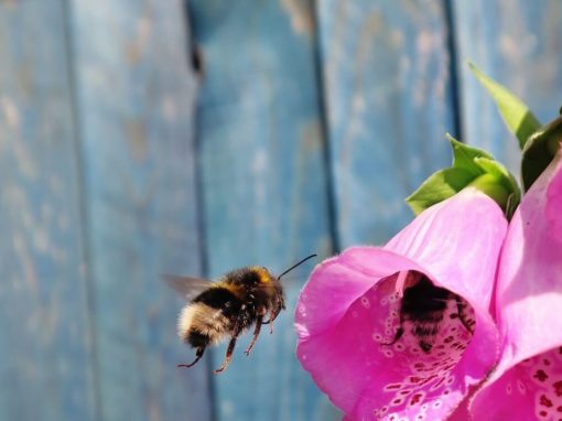 Photo by George Hiles via Unsplash