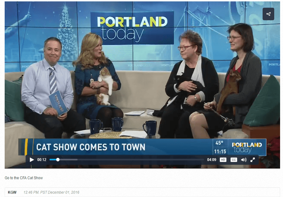 Cat Show on KGW Portland Today