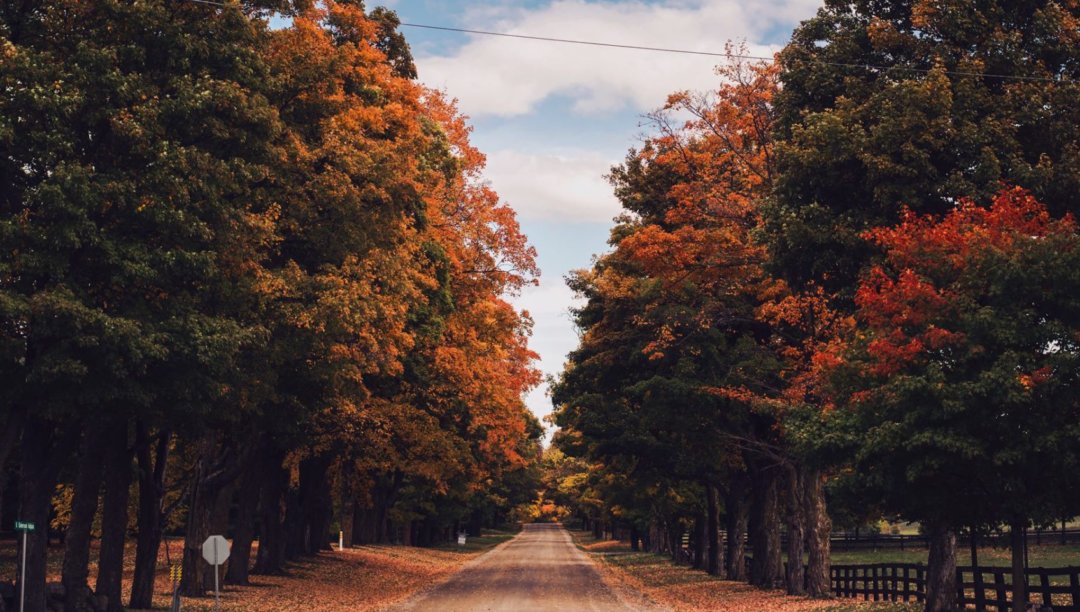 Hedonist Shedonist: 3 Autumn RV Tours that Are a Feast for the Senses