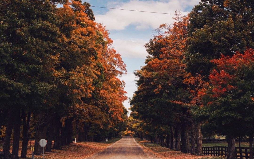 Hedonist Shedonist: 3 Autumn RV Tours that Are a Feast for the Senses