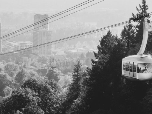 Sean Benesh via Unsplash