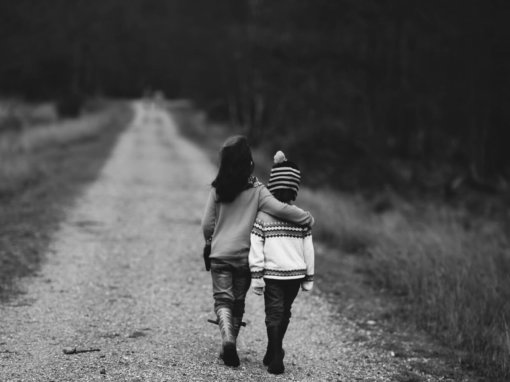 Annie Spratt via Unsplash