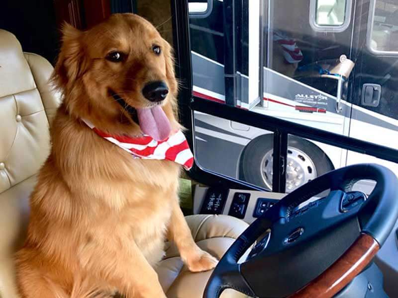 Pet Travel Blog: RV Travel Tips for Pet Lovers